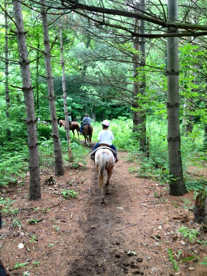 Horse Trail 2