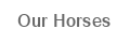 AdoptAHorse